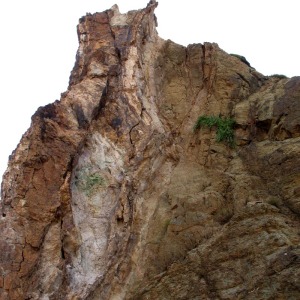 La alteracin hidrotermal de las andesitas y dacitas gener las mineralizaciones del Cabezo Rajao, La Unin. Concentracin de Alunita, color blanco 