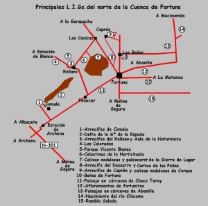 Figura 1. Localizacin de los principales lugares de inters geolgico (LIGs) de la cuenca negena de Fortuna 