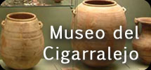 Museo del Cigarralejo [banner portada]
