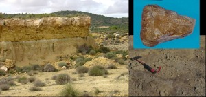 Yacimiento de dinosaurios de Yecla. A la derecha el hueso y una huella 