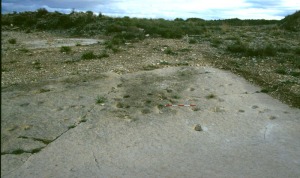Vista del yacimiento de icnitas (huellas) del Messiniense de la Sima de la Hoya (Jumilla) antes de su estudio y proteccin 