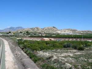 En el centro de Murcia muchos de los cabezos son relieves sumergidos del Terciario formados por la biodiversidad, son arrecifes. Sierra de la Espada (Molina de Segura) 