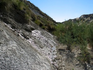 Las surgencias de agua en la ladera este del curso bajo de la rambla de Perea son muy comunes, hasta el punto que generan un caudal constante en su cauce 