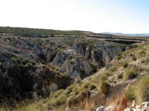 La erosin remontante en los laterales de la rambla de Perea es intensa y afecta a las tierras de cultivo. En el centro se observan muchas morfologas erosivas verticales, piping 