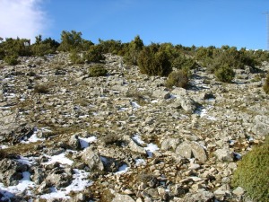 Vista del lapiaz mixto que aparece al norte de la dolina 