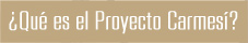 &iquest;Qu&eacute; es el Proyecto Carmes&iacute;?