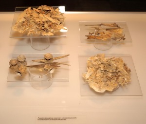 Museo Arqueolgico de Mazarrn. Factora Romana de Salazones, espinas y escamas de los tanques de salazn 