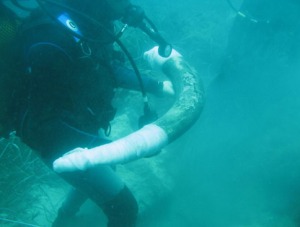 Barco Fenicio hallado en el Bajo de la Campana