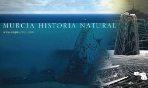 Murcia, Historia Natural Murcia, Historia Natural