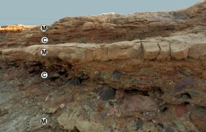 Depsitos marinos (M) y continentales (C) pleistocenos en las proximidades de la playa del Pocico del Animal, al norte de la Punta del Sombrerico. Estas secuencias nos informan de de los aportes de la