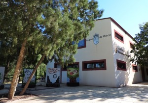 Edificio del Aula de Naturaleza y Arboretum de El Valle. A la izquierda rbol singular de ciprs de Cartagena (Tetraclinis articulata)