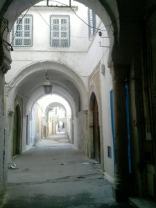 El barri andalus en la Medina de Tnez 