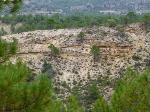 Depsitos detrticos de antiguos abanicos aluviales que forman la cima del Cerro del Taln. Bajo ellos margas marinas del Cretcico