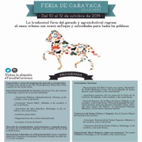 Feria de Caravaca 2014