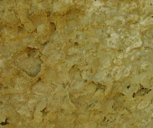 Efectos de la haloclastia sobre la base de las rocas fungiformes. Obsrvese como la cristalizacin de sales (yeso principalmente) va descascarillando la roca. 