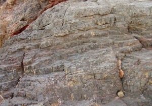 Detalle de las dolomas alpujrrides de de la Punta de la Cueva de los Lobos. Obsrvese el gran nmero de diaclasas que las afectan y las coloraciones rojizas (facies franciscanas)  