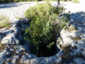 Los sedimentos depositados en el fondo de las simas de La Losa podran contener fsiles de animales ya extinguidos del Cuaternario.   