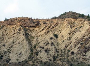 Discordancia entre las turbiditas miocenas y los depsitos aluviales cuaternarios. 