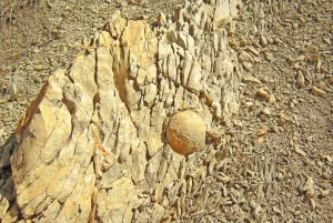 Ndulos de barita y celestina localizados en las margocalizas arenosas de la rambla 