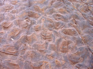 Detalle de los ripples existentes en las areniscas del Trisico inferior 