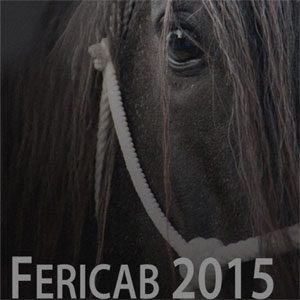 Fericab 2015