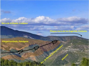 Desde la pista de la sierra de los lamos se ve el anticlinal tumbado de la Melera, al fondo el pliegue de la Sierra de los Engarbos. Todos forman parte del gran antiforme de sierra de la Muela