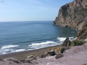 Playa de la Cola del Caballo, cuyo entorno es Lugar de inters geolgico y tambin botnico, incluido en la Microrreserva propuesta Fruticedas del Cabezo de la Galera y Cola del Caballo (LAUNI-01)