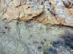 Contacto erosivo entre margas bioturbadas a techo y las areniscas del talud arrecifal. Ambas rocas se depositaron durante el Tortoniense.