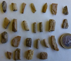 Fragmentos seos, posiblemente de pterosaurios. Cretcico inferior (Albiense, 113-100,5 Ma)