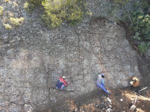Los yacimientos de icnitas de dinosaurios del yacimiento de Sierra de Gavilanes de Jumilla. 