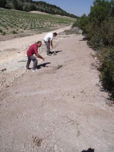 Trabajo final con la aplicacin de arena sobre el geotextil, para la mejor conservacin del yacimiento evitando su expolio y deterioro, a la espera de su musealizacin
