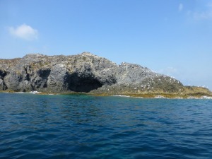 La Gea sustenta la biodiversidad. Colonias de gaviotas descansando en las rocas volcnicas de la isla Grosa.