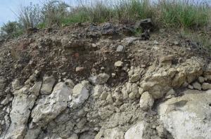 Excelente ejemplo de un suelo bien desarrollado sobre las rocas volcnicas. Tiene un horizonte A mllico y un C petroclcico