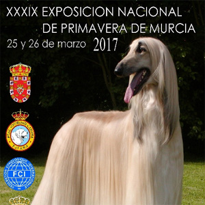 XXXIX EXPOSICIN CANINA DE PRIMAVERA