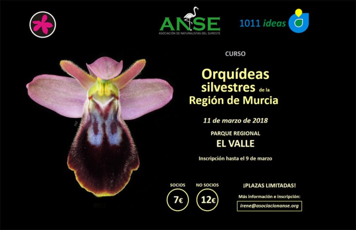 Curso Orquídeas Silvestres de la Región de Murcia