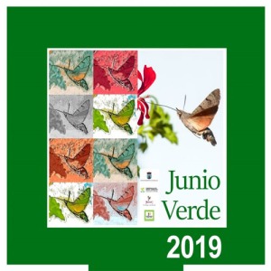Junio Verde 2019