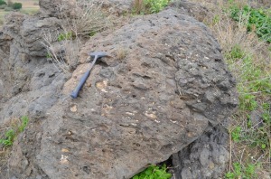 Los gases han dejado estas oquedades en la roca baslticas, en ocasiones se han rellenado de minerales del grupo de las zeolitas