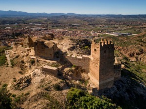 Castillo de Pliego 