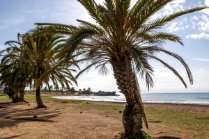 Playa de Percheles 