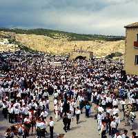 Fiestas de los Caballos del Vino (Caballos del Vino - Fiestas de la Stma. y Vera Cruz - Caravaca de la Cruz) 