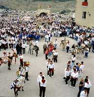 Fiestas de los Caballos del Vino (Caballos del Vino - Fiestas de la Stma. y Vera Cruz - Caravaca de la Cruz) 