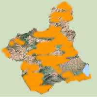 Distribuci�n del Sapo Corredor en la Regi�n de Murcia