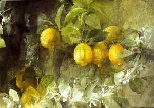 Limones de Pedro Cano
