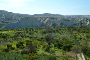 Paisaje de la Huerta de Campos del R�o