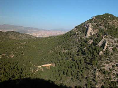 Vertiente Norte de la Sierra de la Pila. 