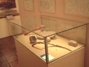 Industria ltica y sea de la Edad del Bronce [Yecla_Museo Arqueolgico Cayetano de Mergelina]