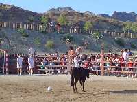 La vaca y el baln se unen en Villanueva 