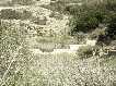 Los Alrededores del Molino 