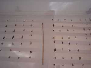 Coleccin de puntas de flecha [Cehegn_Museo Arqueolgico]