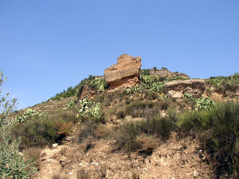 Detalle de la Muralla [Castillo de las Paleras de Pliego]. 